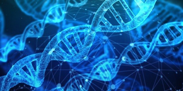 dna testing