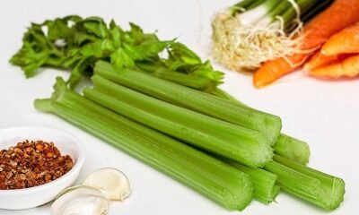 Is It Better to Juice or Blend Celery