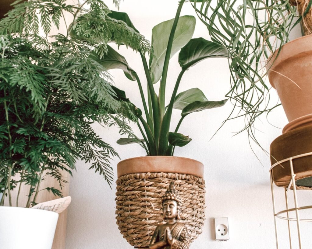 Bring Nature In - home feel good