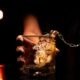 7 Changes I Have Seen in Myself After Quitting Alcohol