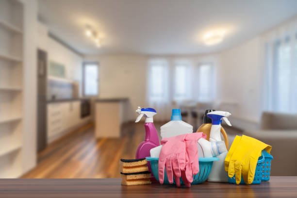 How an Organized Apartment Brings Inner Peace