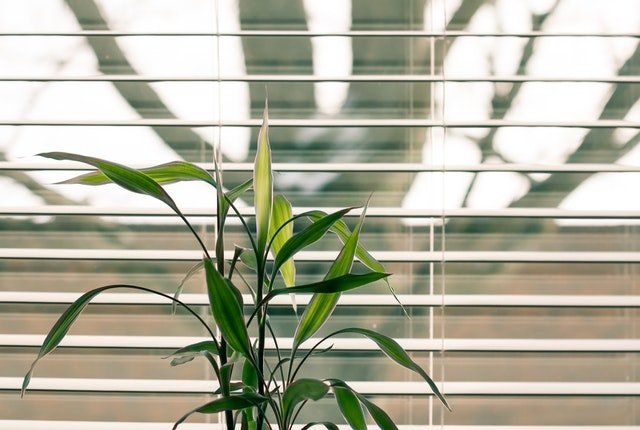 Why Should You Give a Sophisticated Look to Your House with Blind and Shutters
