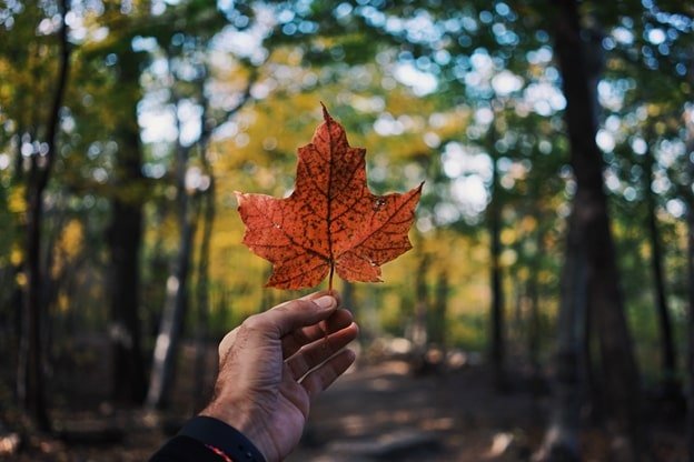 Canadian Fulfillment What You Need to Know