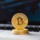 Effects of COVID-19 and Omicron on Bitcoin Price
