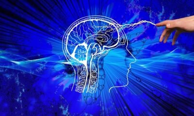 Here Is Why You Should Invest In Knowledge Base Software