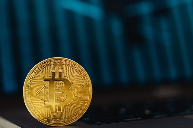 The Race to Bitcoin Top Companies Investing in the Future