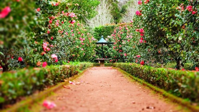 Five unique features to add to your garden