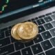 Profitable BTC Trading in New Hampshire