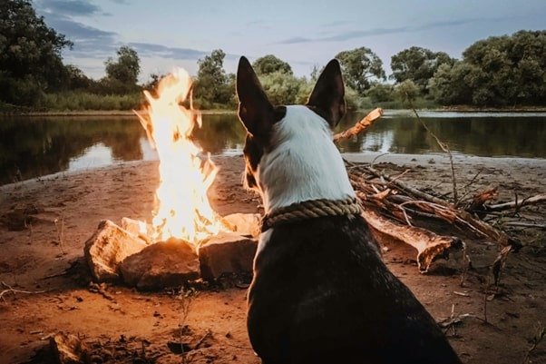 Top Places to Go Camping In Your Lifetime