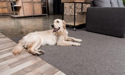 The Best Pet-Friendly Rugs For Your Home