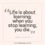 52 Quotes About Learning to Inspire Growth and Success | The Inspiring ...