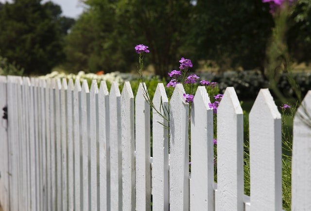 Fencing Options for Your Outdoor Living Space