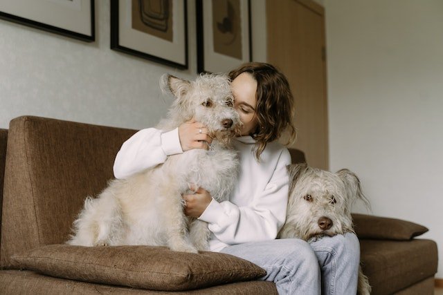 Ways To Bond With Your Pet And Show Them You Love Them