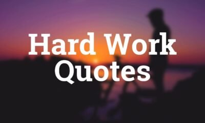 hard work quotes