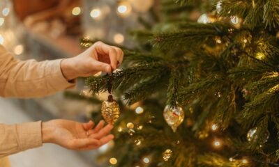 Branching Out An In-depth History of the Christmas Tree Tradition