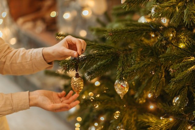 Branching Out An In-depth History of the Christmas Tree Tradition