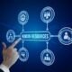 PEO and HRO Services