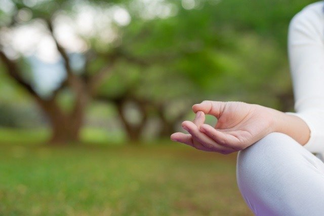 Wellness Gone Luxe The New Wave of Swanky Health Trends You've Gotta Try