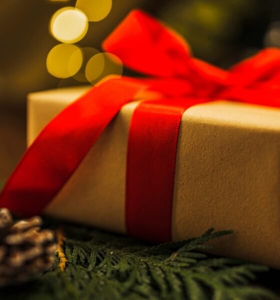 Top 10 Unique Christmas Gifts 2024
