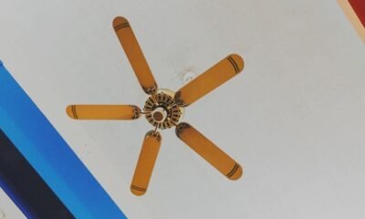 BLDC ceiling fans