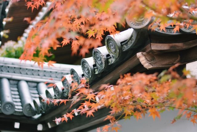 Home Maintenance Tasks