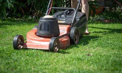 Role of Technology in Modern Yard Maintenance