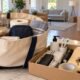 Moving-Day Survival Kit Every Household Should Prepare